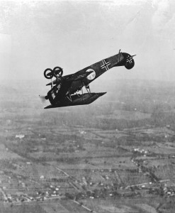 42 H11.0 D7 looping, 1918sml